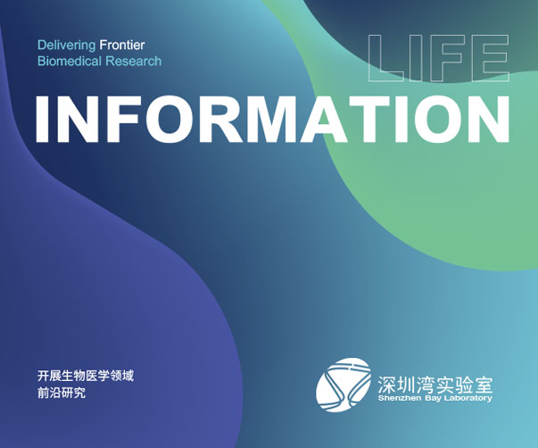 安康地產VI設計_專業打造獨一無二的品牌形象