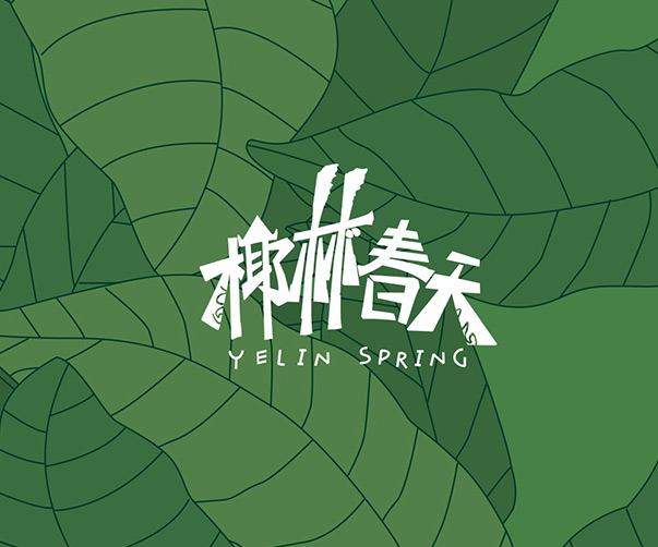 寶安VI形象設計優化服務_專業VI形象設計解決方案